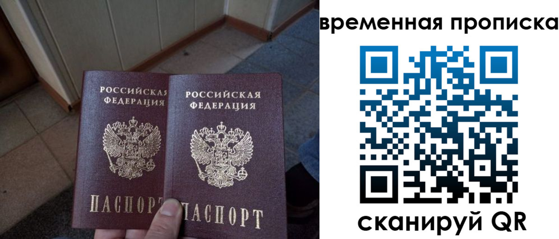 прописка поиск в Выборге